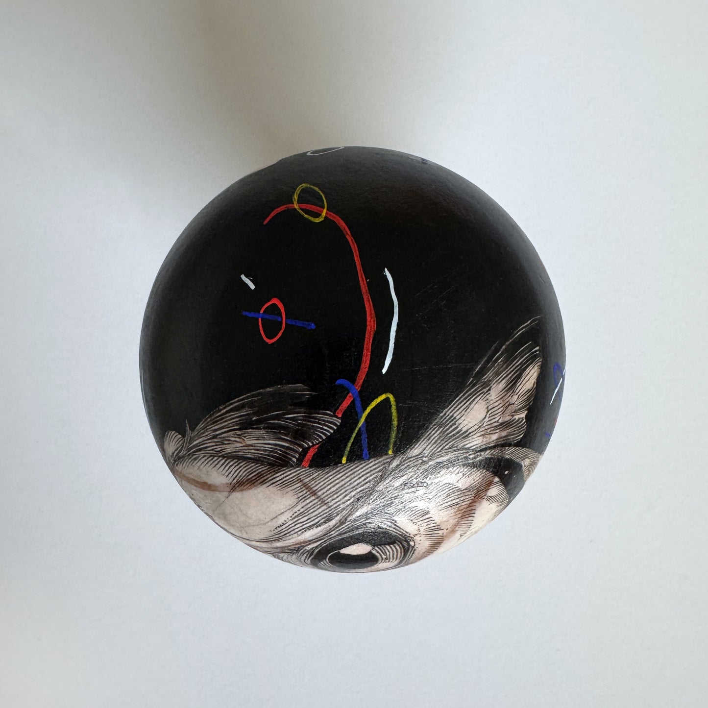 C3 - Bird Cvlt Mushroom