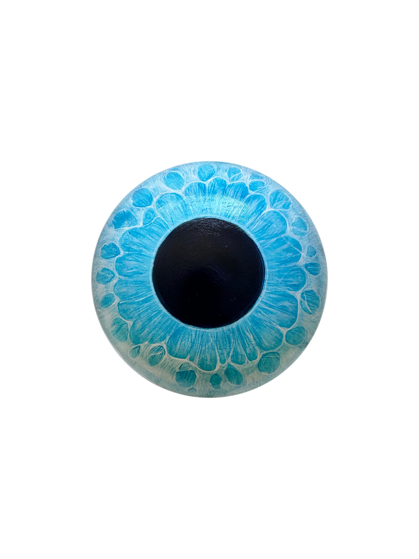 C2 - Michael Camarra Mushroom