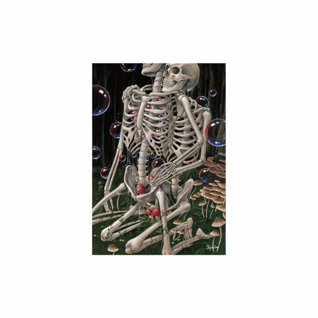 Joyce Lee - Archive Book