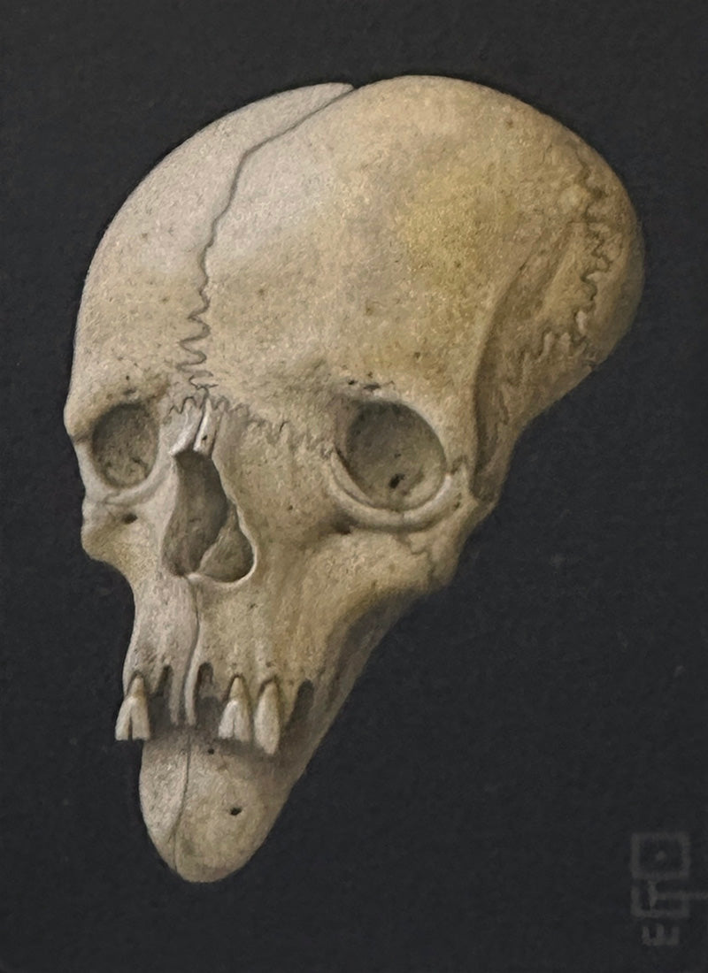 Ego - OUT OF THE SHADOWS