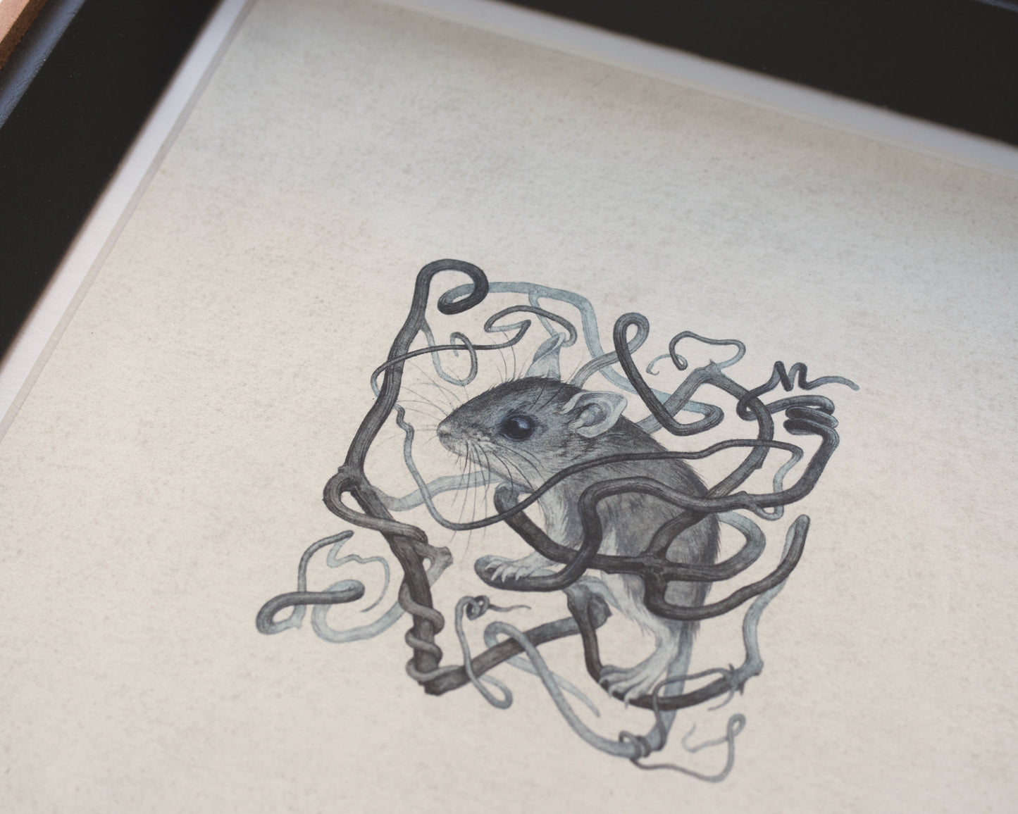 Teagan White - Aimless Path