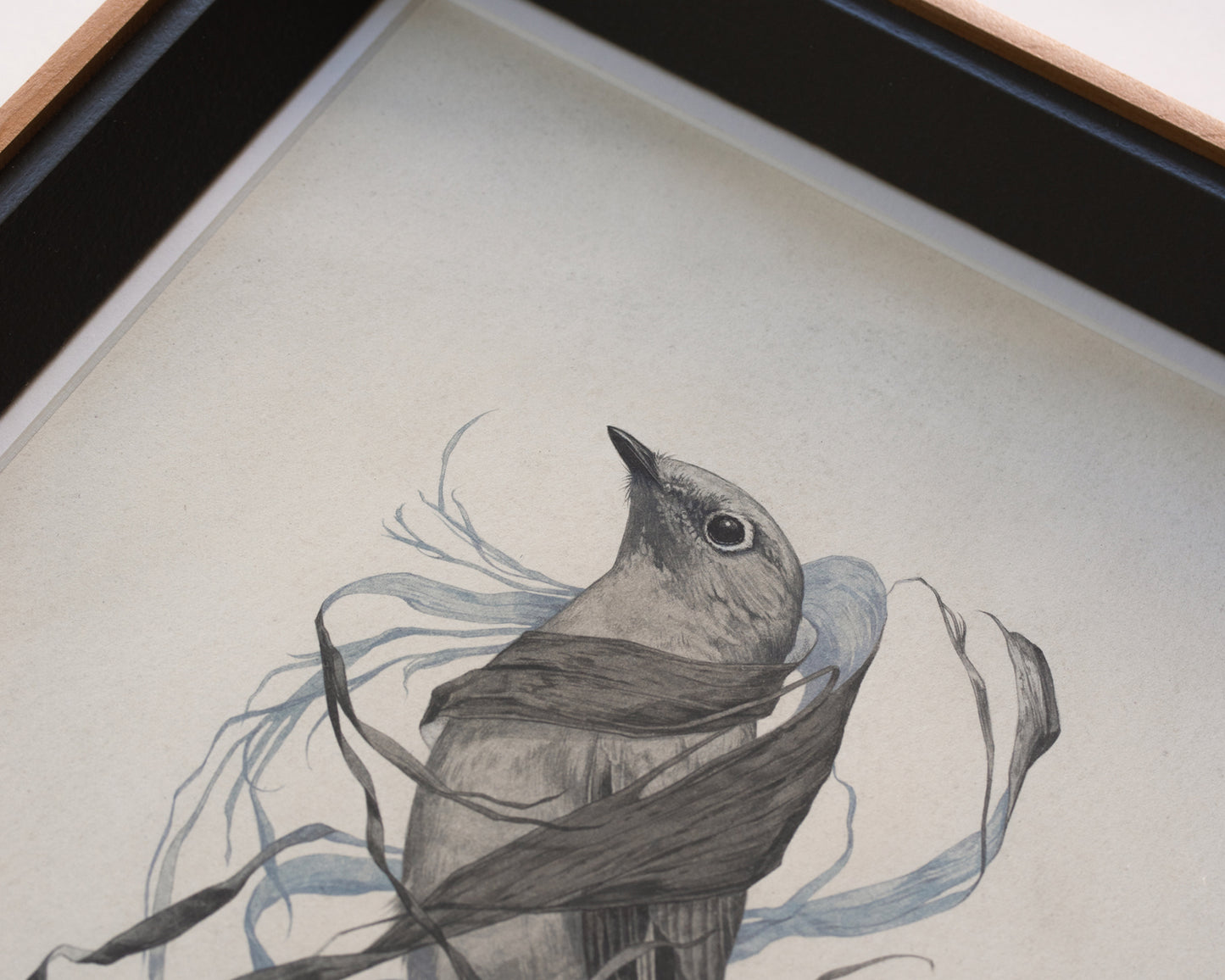 Teagan White - Exposed Canopy