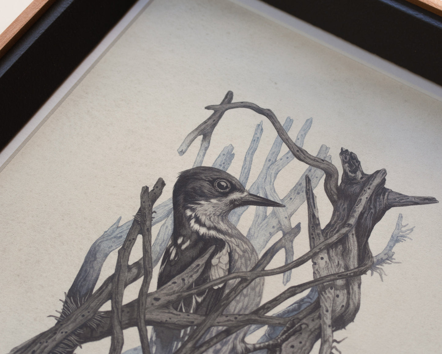 Teagan White - Occupied Cavities