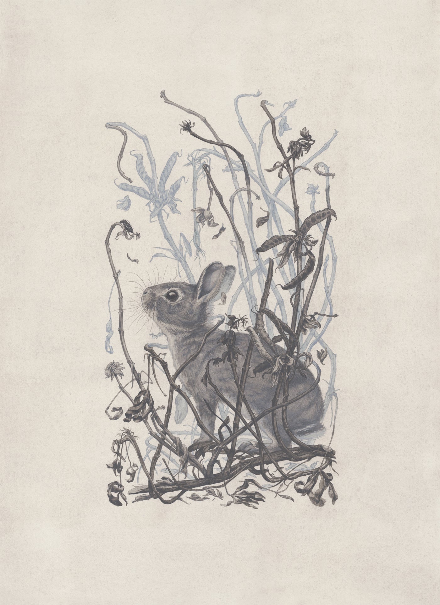 Teagan White - Self-Sower (Infested Nursery)