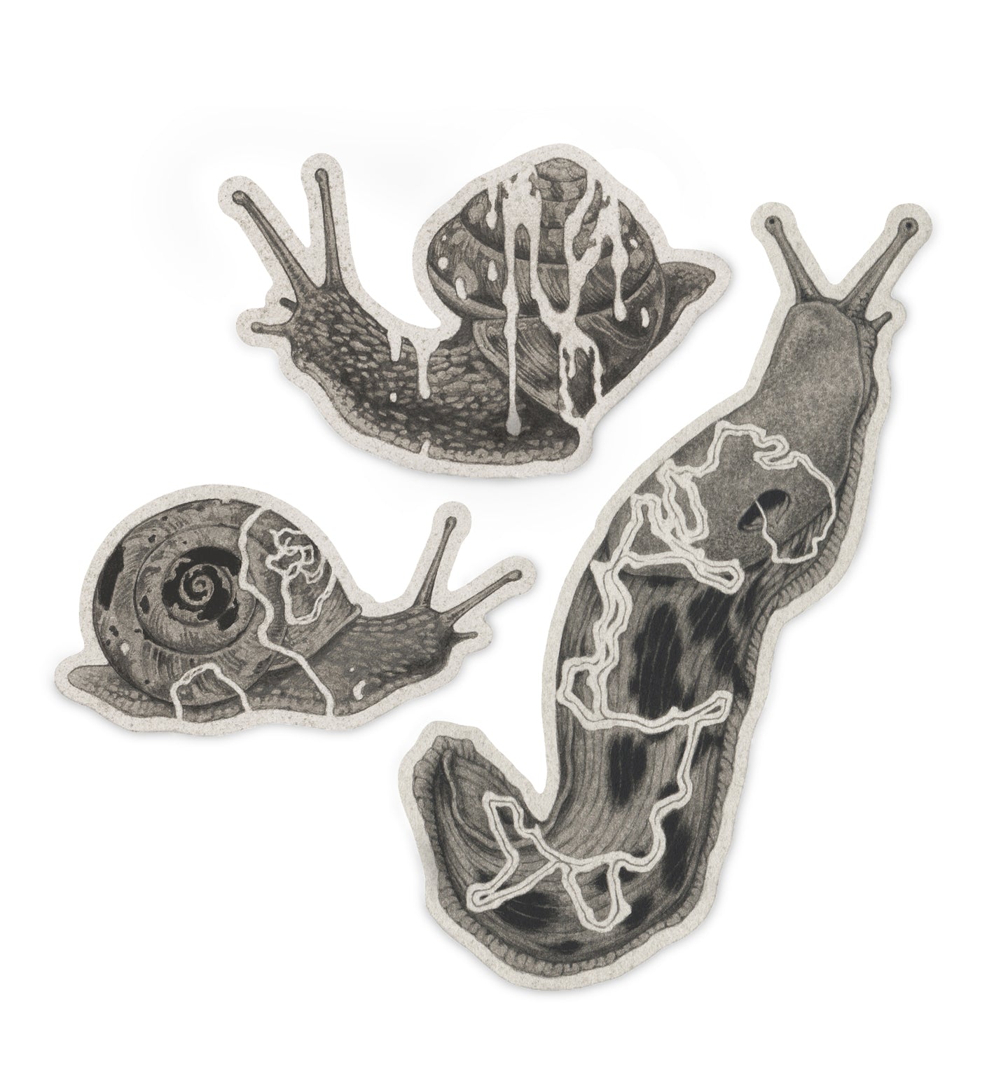 Teagan White - Gastropods 3pc Sticker Set