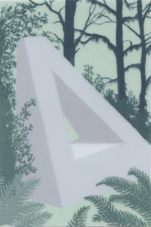 Heather Lee Birdsong - Sword Fern