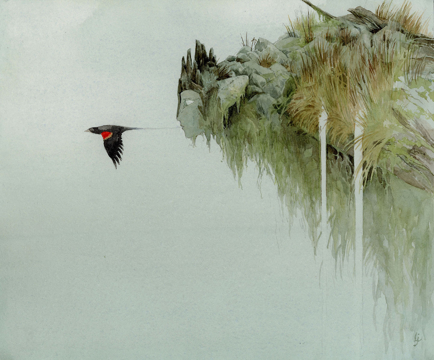 Lily Seika Jones - Red-winged Blackbird
