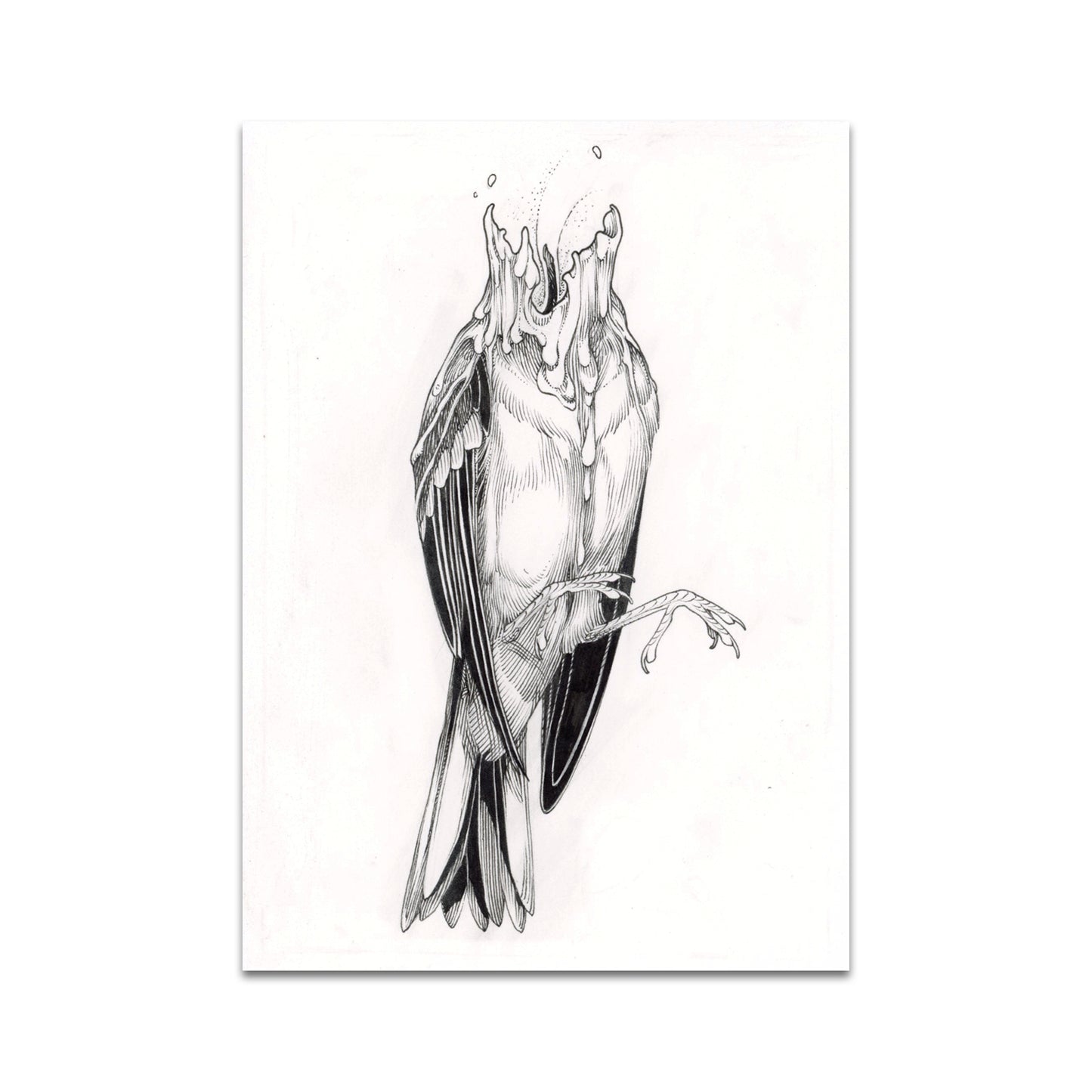 P10 - Bird Cvlt Postcard 1