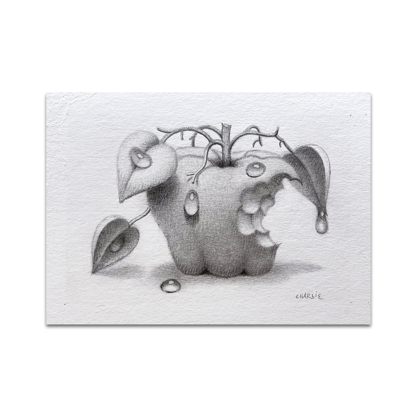 P10 - Charlie Immer Postcard 2
