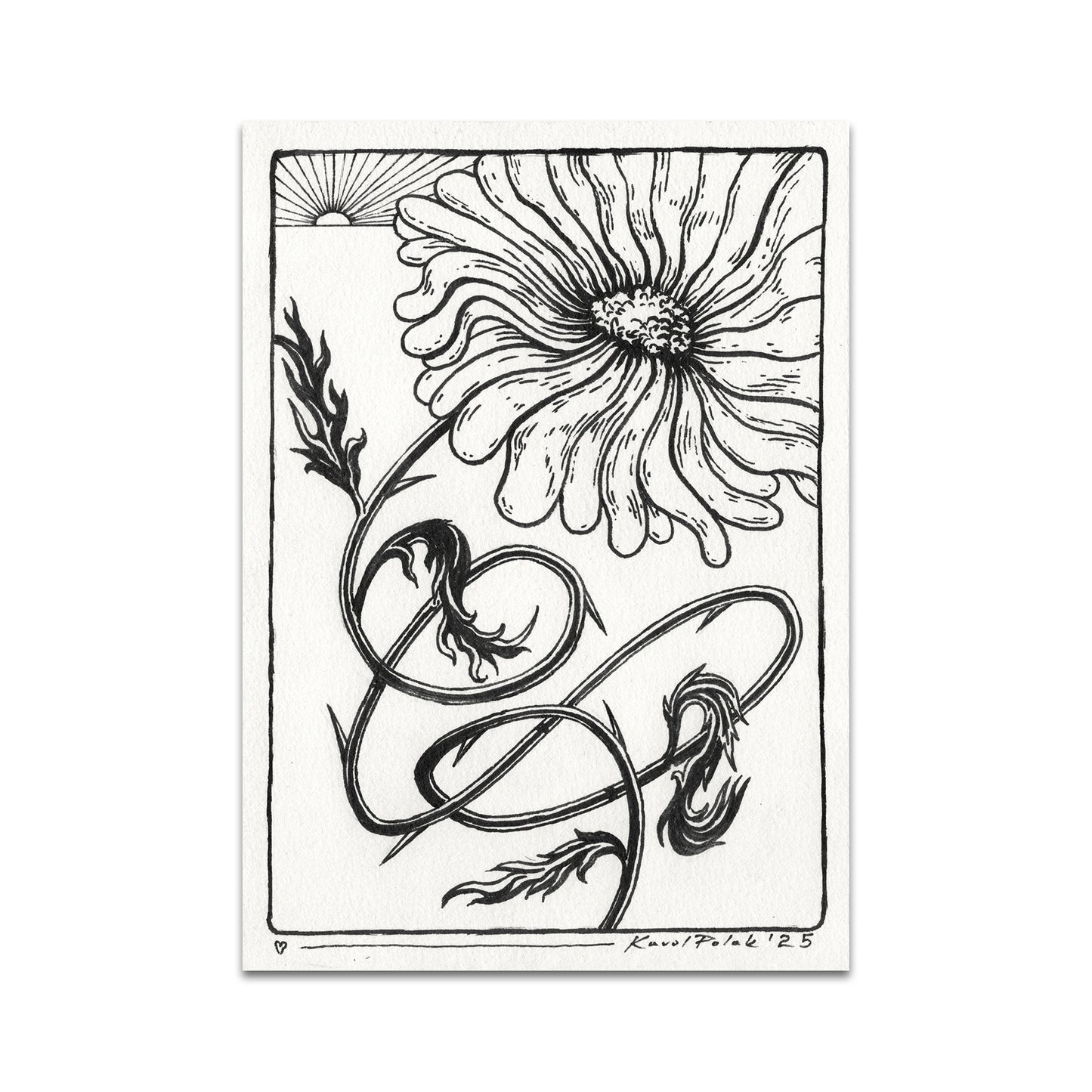 P10 - Karol Polak Postcard 4