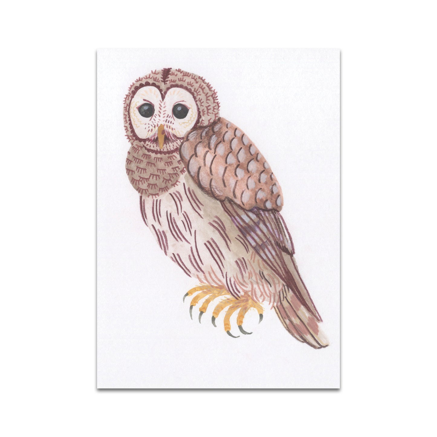 P10 - Lin Snow Postcard 1