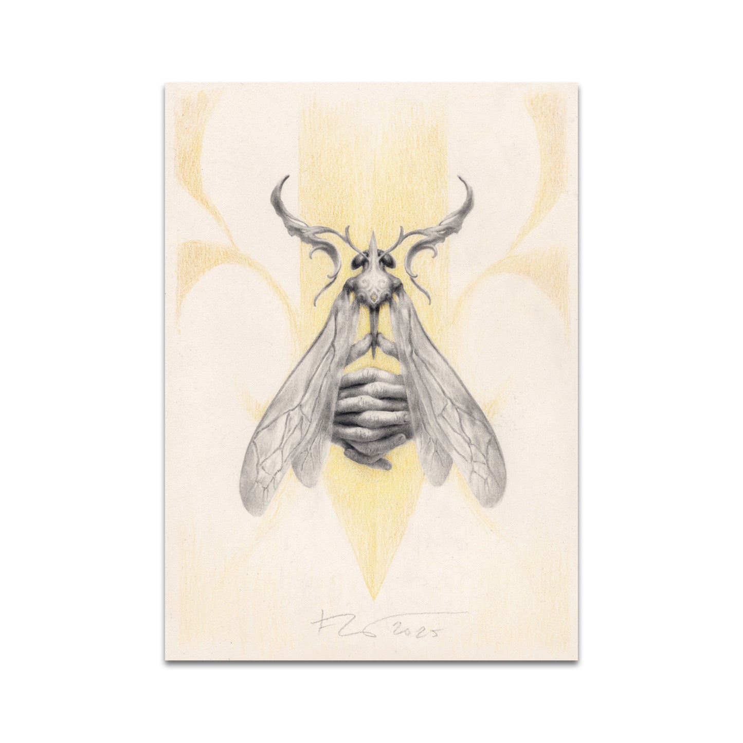 P10 - Petra Frankova Postcard 1