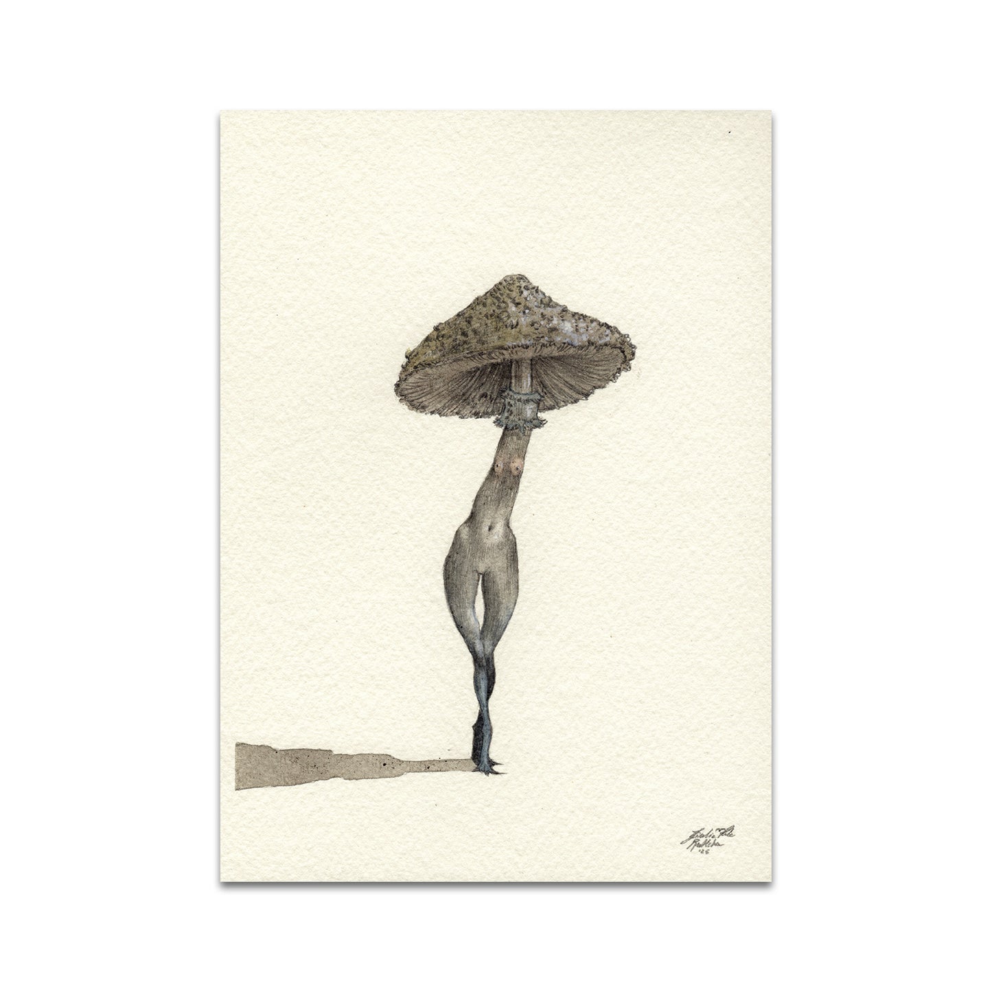 P10 - Rustlehare Postcard 3