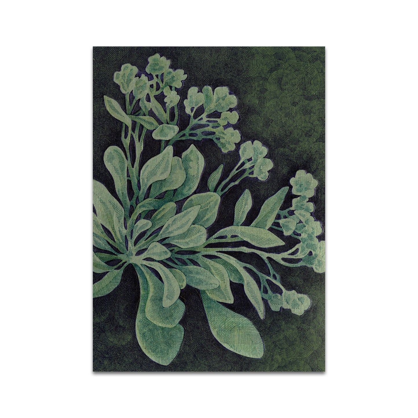 P10 - Song Kang Postcard 2