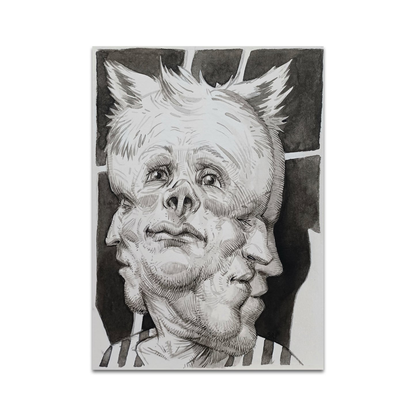 P10 - Sri Whipple Postcard 3