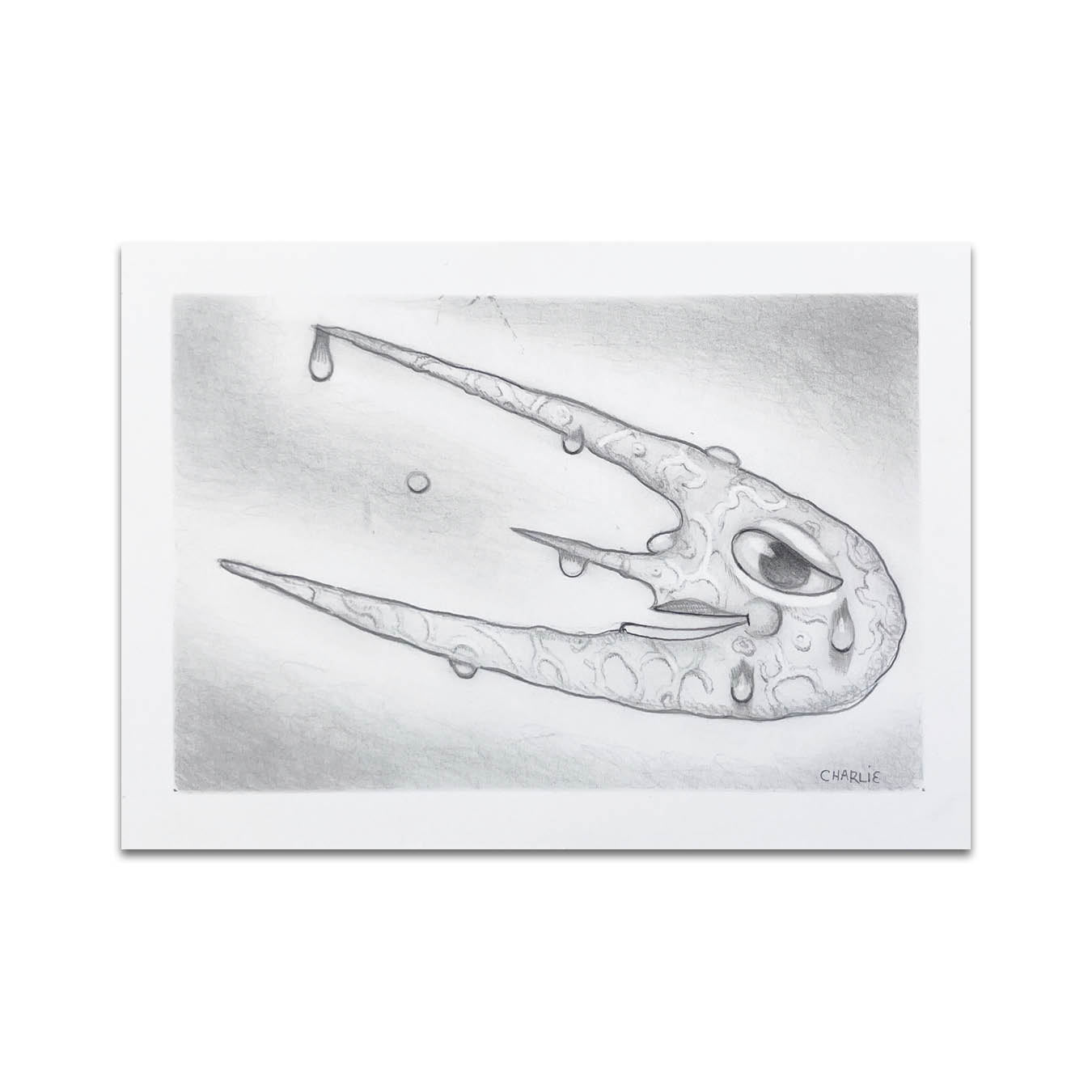 P8 - チャーリー・イマー ポストカード 2