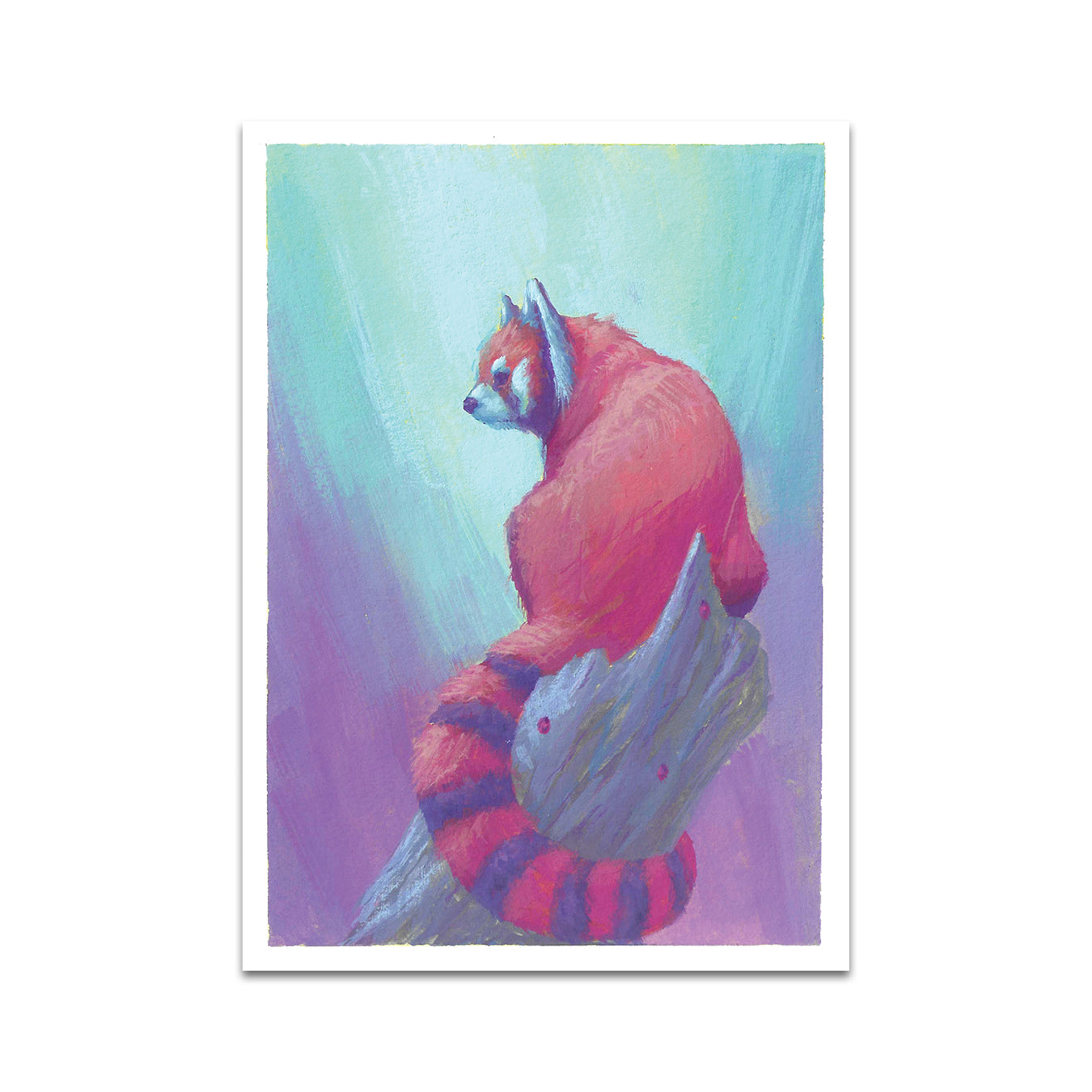 P8 - コーディ・ヒメネス ポストカード 2