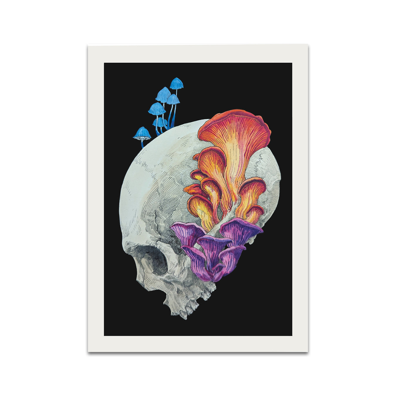 P8 - ダン・パワー ポストカード 2