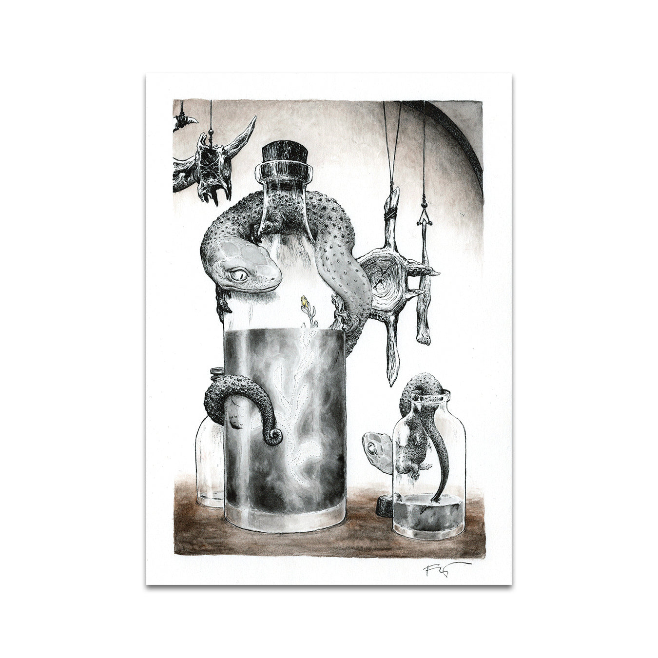 P8 - Petra Frankova Postcard 3