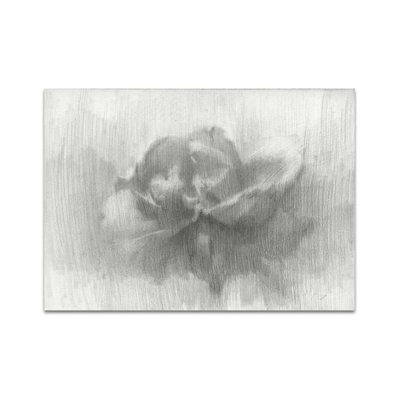 P8 - ザカリー・オルデンカンプ ポストカード 1