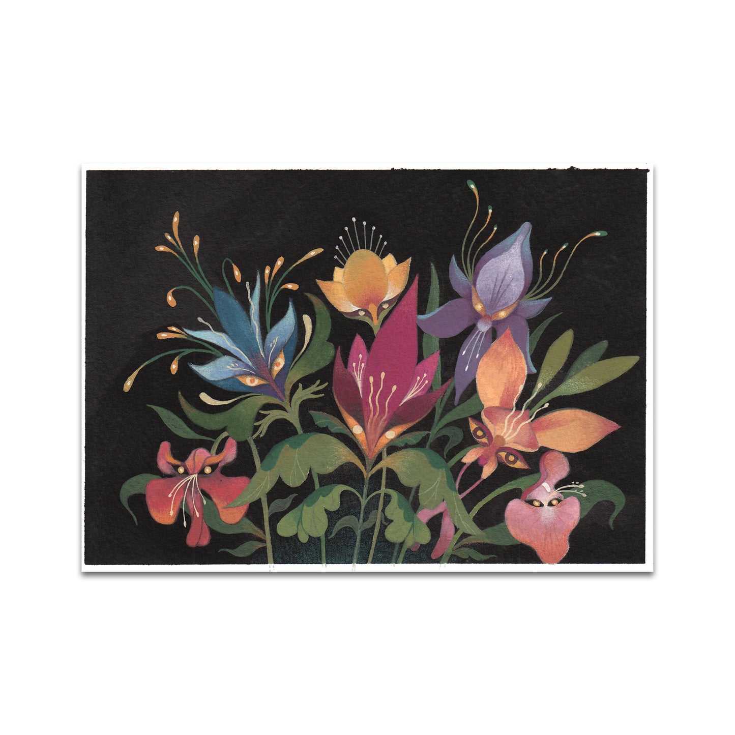 P9 - カロリーナ・T・ゴディナ ポストカード 1