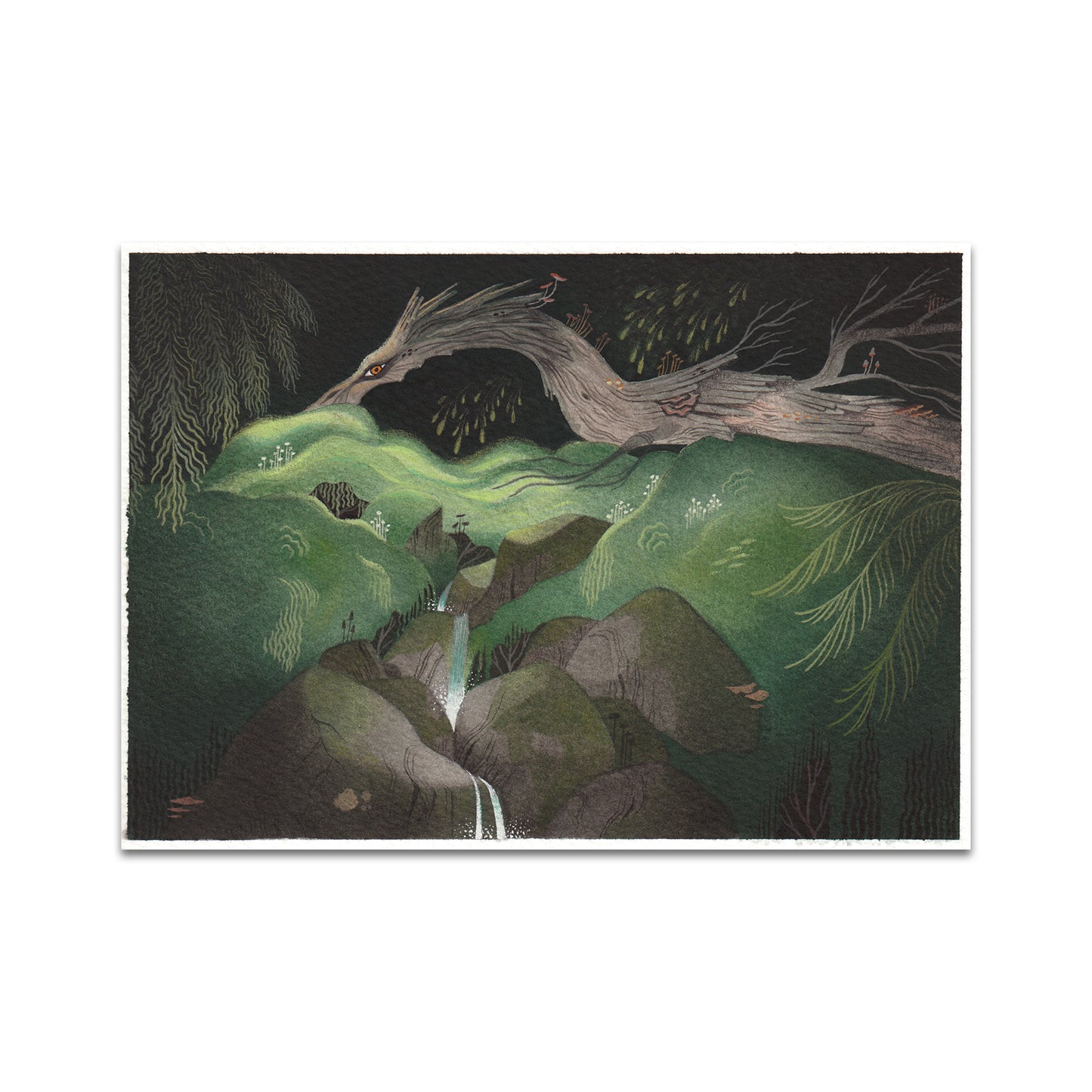 P9 - カロリーナ・T・ゴディナ ポストカード 5