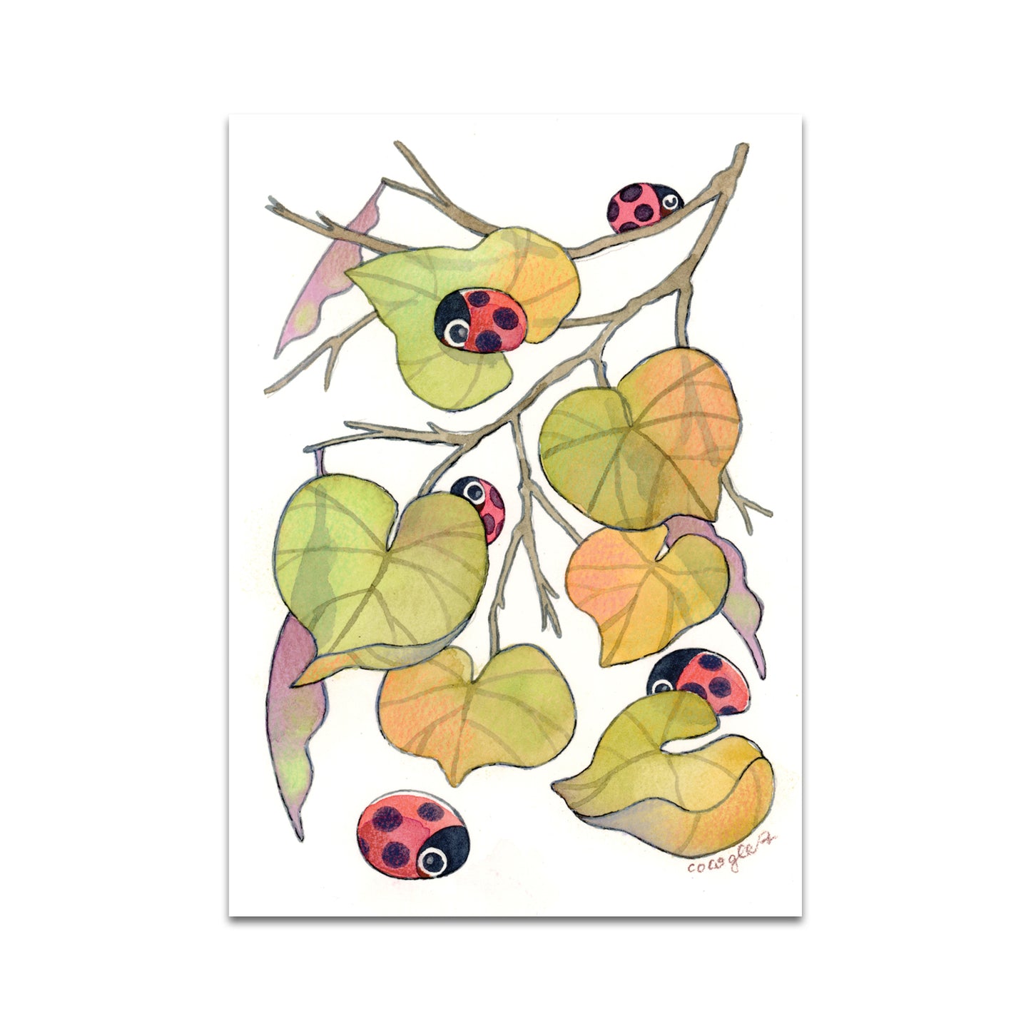 P9 - ソフィア・キウチ ポストカード 1