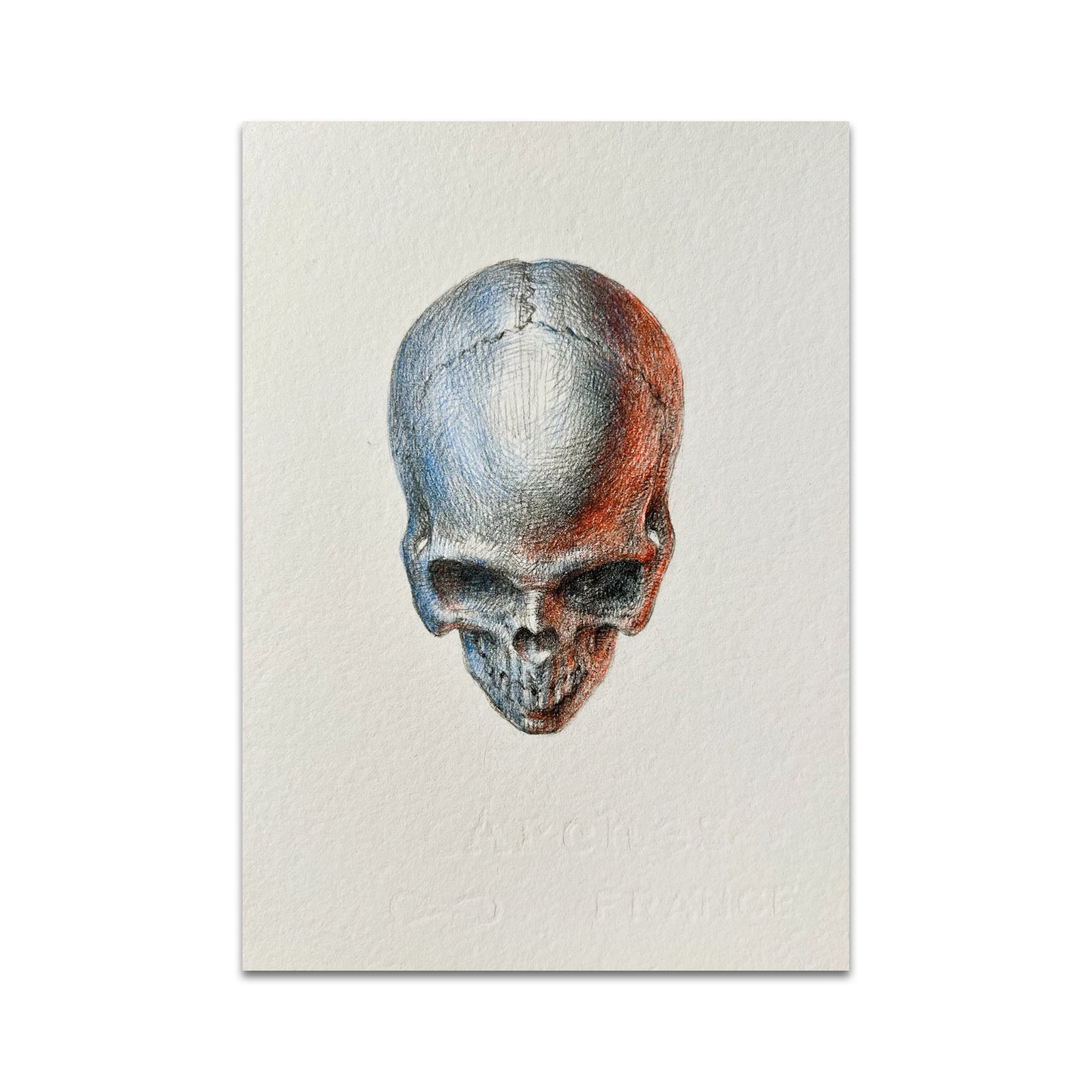 P9 - パラキッドポストカード1