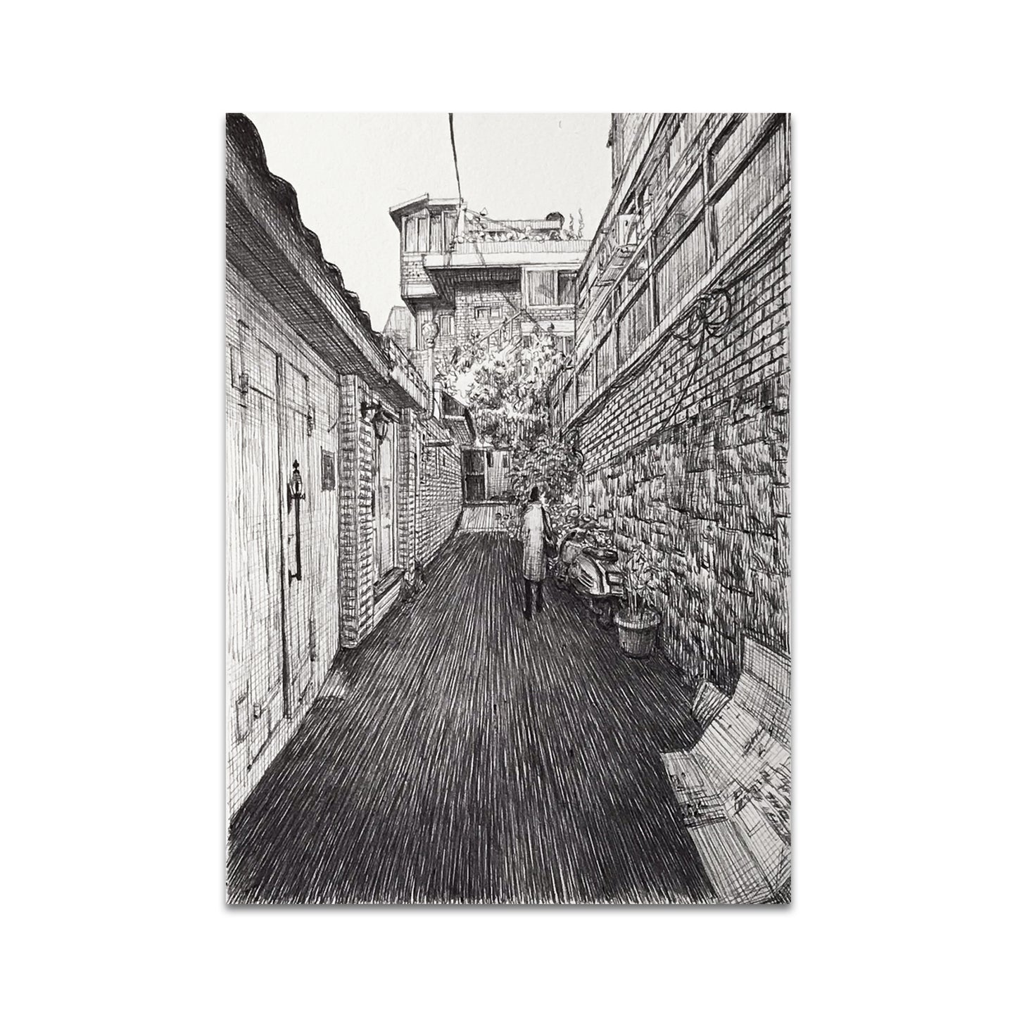 P9 - パラキッドポストカード1