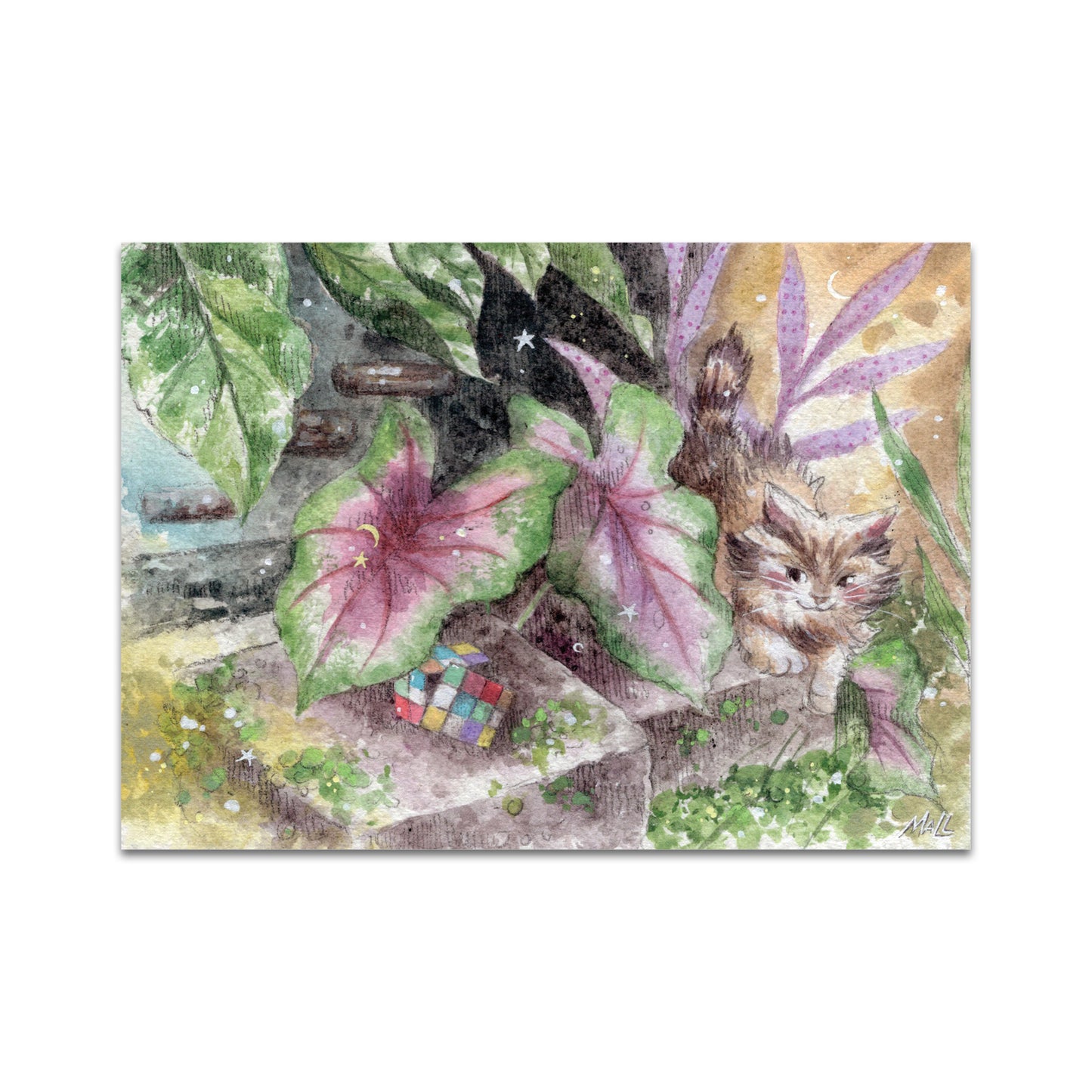 P9 - Mall Postcard 4