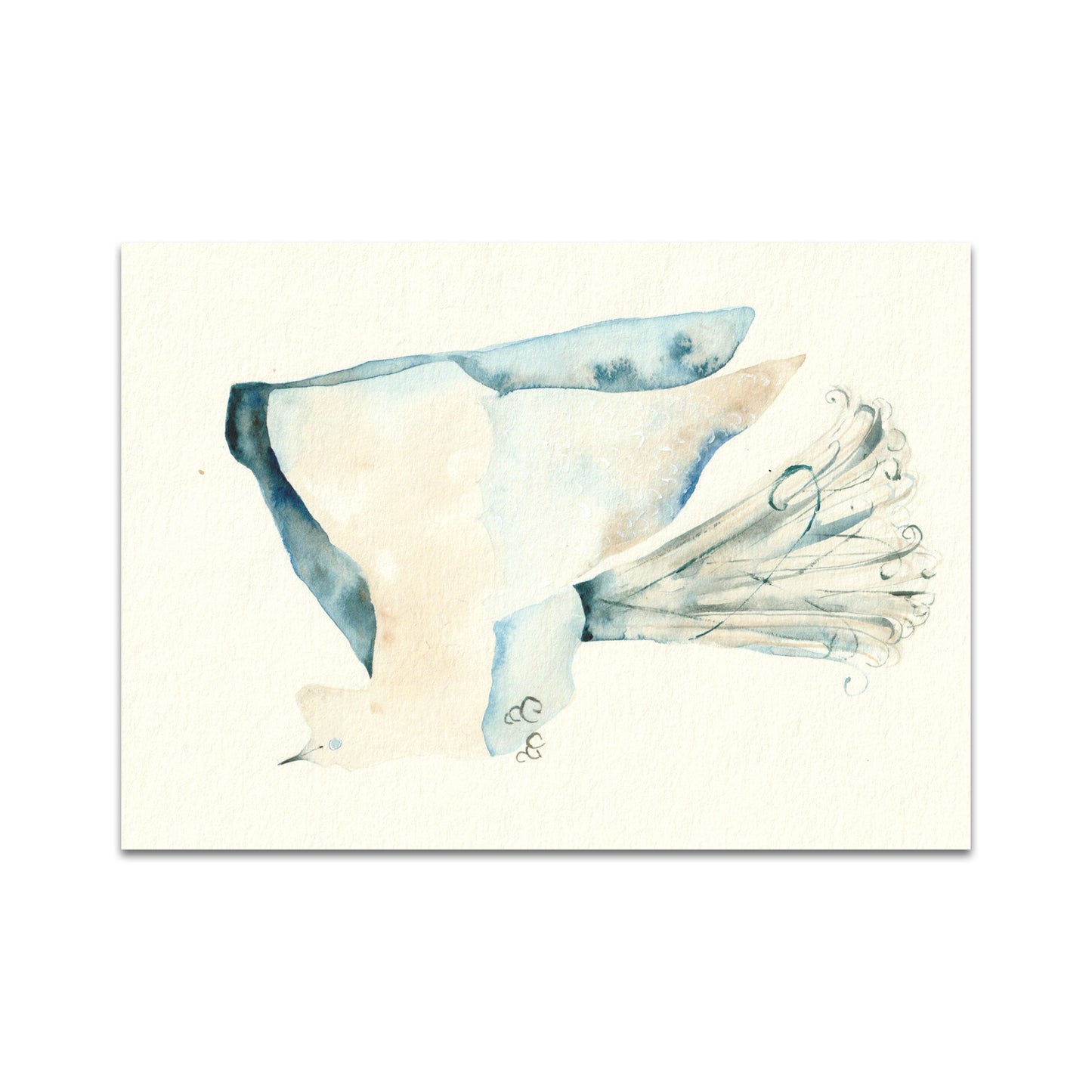 P9 - 柴田亮 ポストカード1