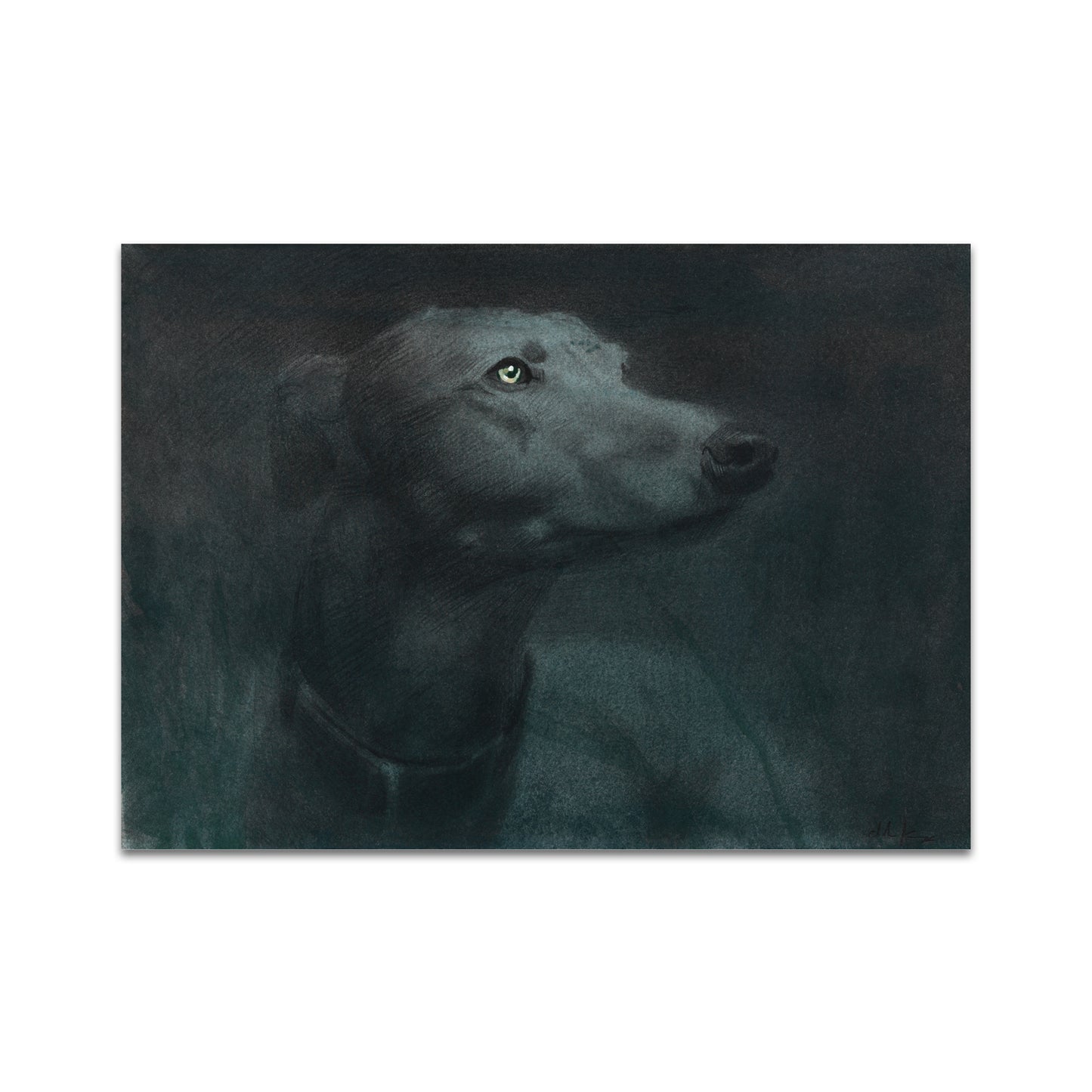 P9 - パラキッドポストカード1