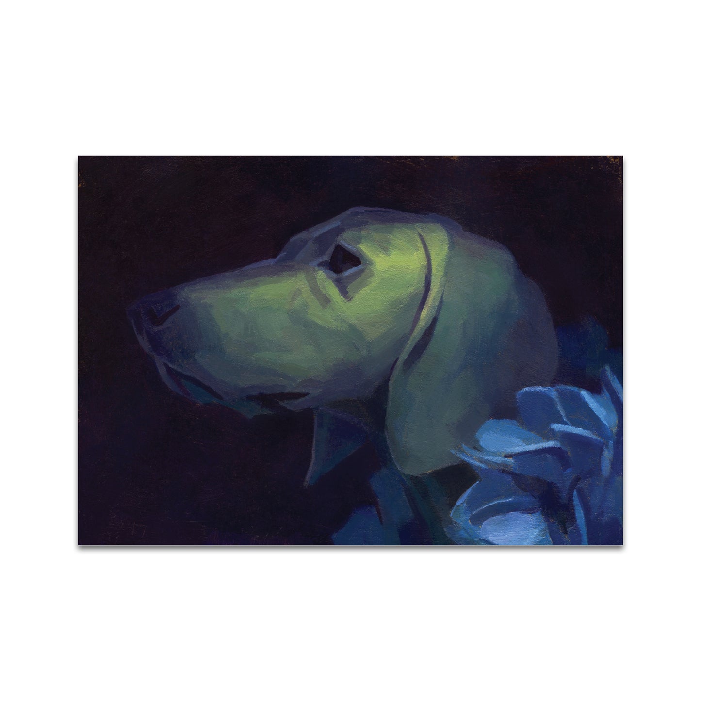 P9 - パラキッドポストカード1