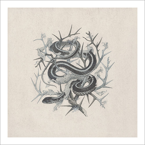 Teagan White - Fleeting Artifacts Print