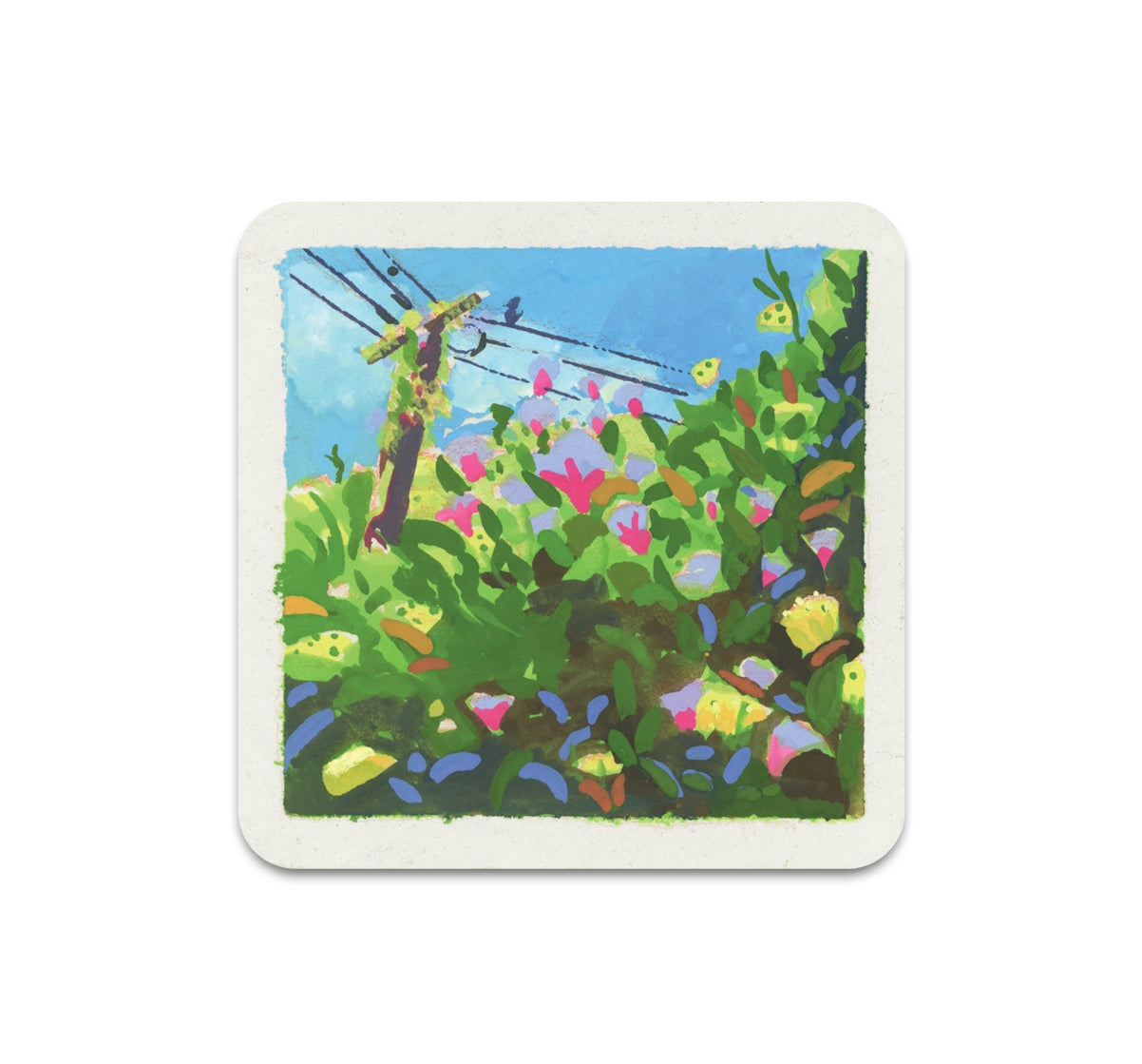 S10 Amanda Grose - Coaster 3