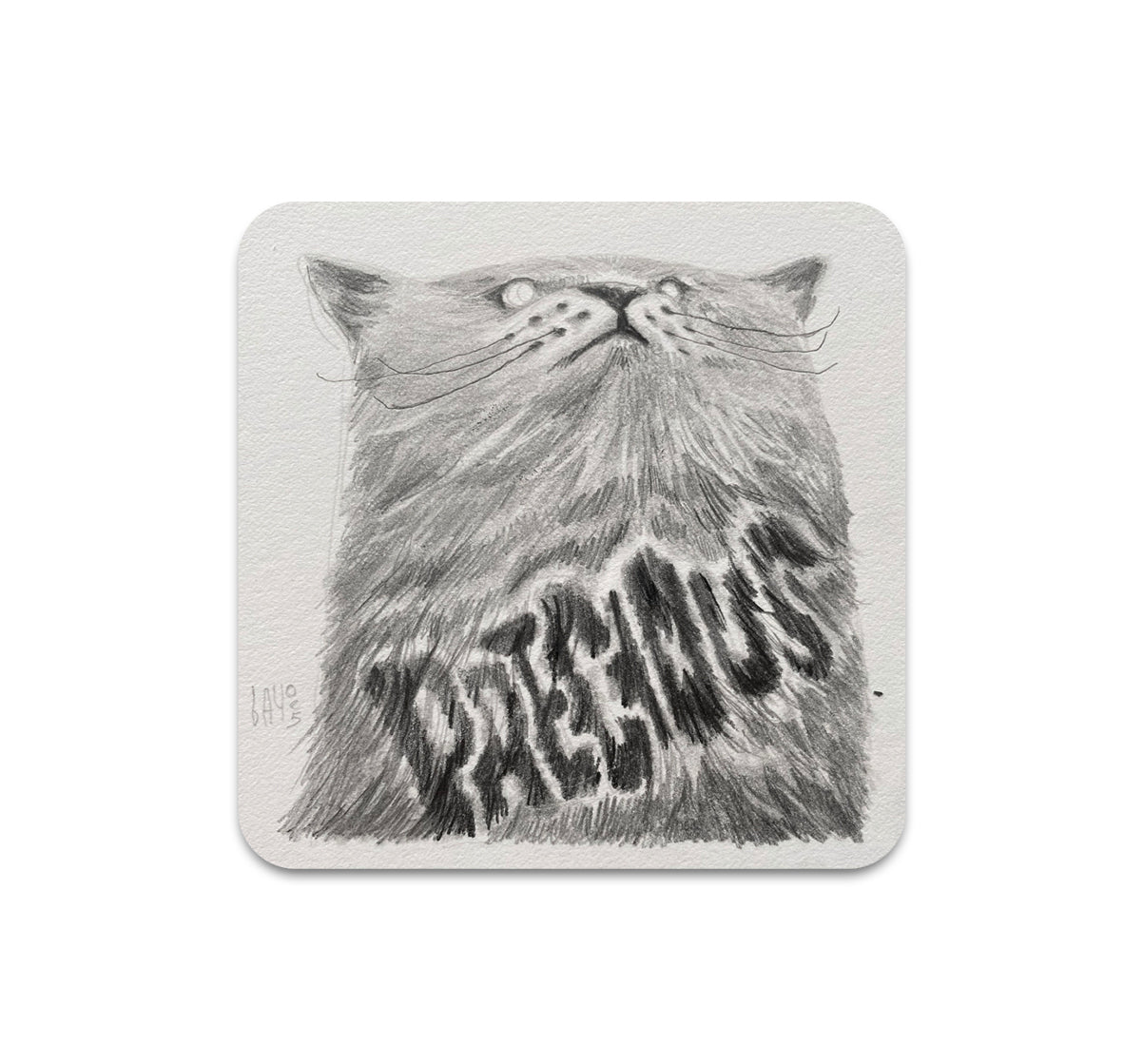 S10 Bayo - Coaster 5