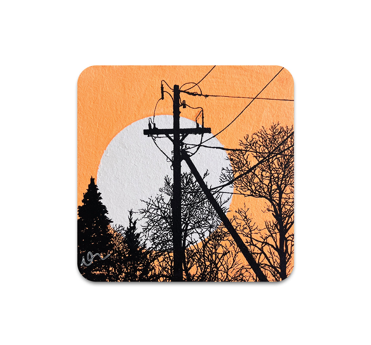 S10 Dan McCarthy - Coaster 3