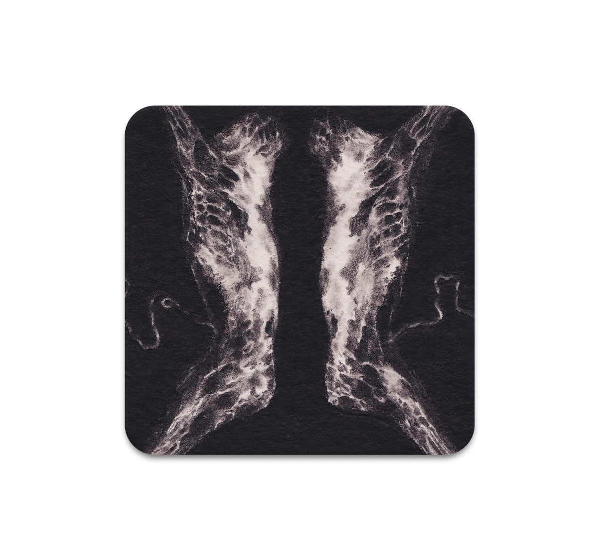 S10 Dusty Ray - Coaster 2