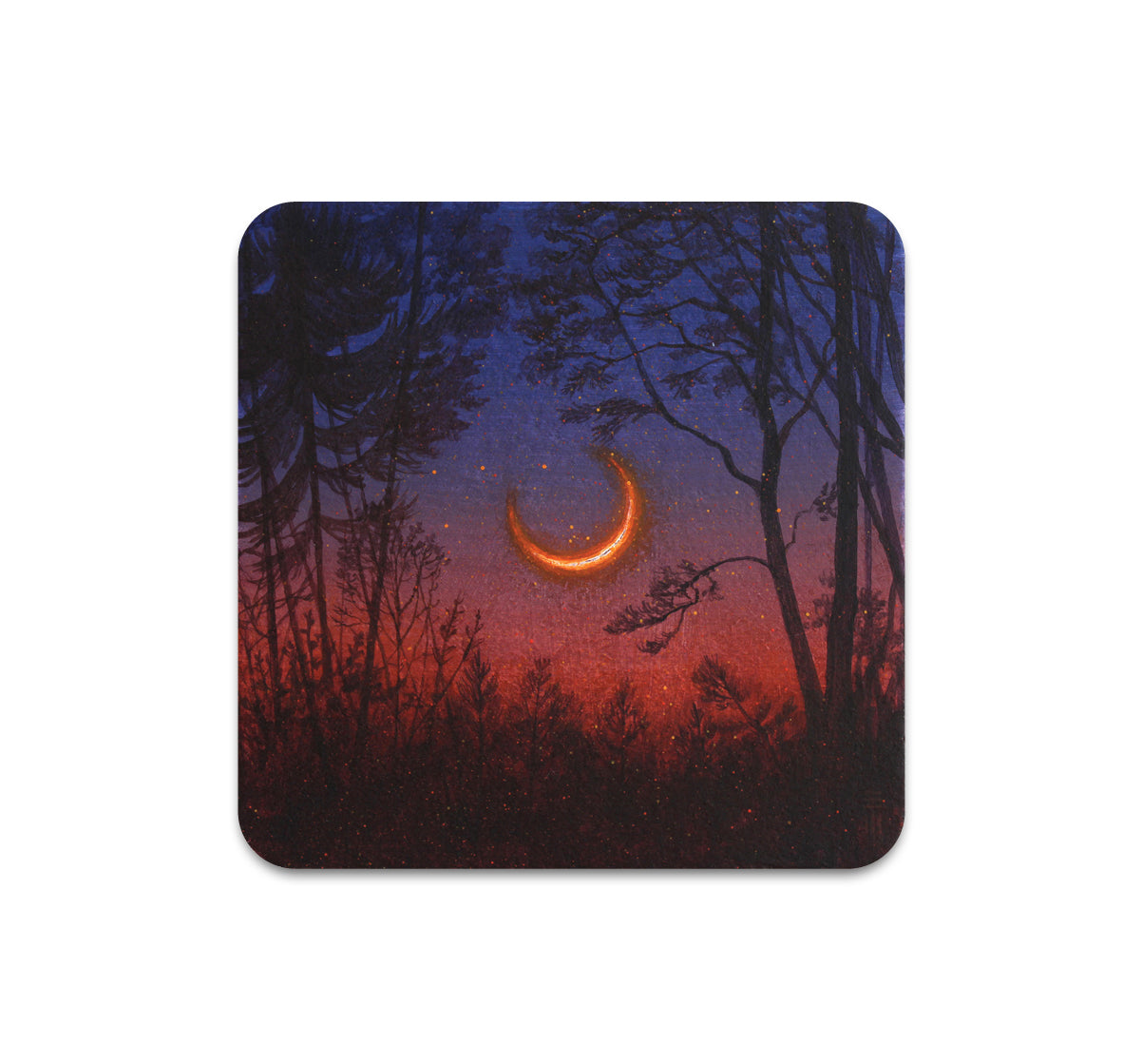 S10 Eli McMullen - Coaster 2