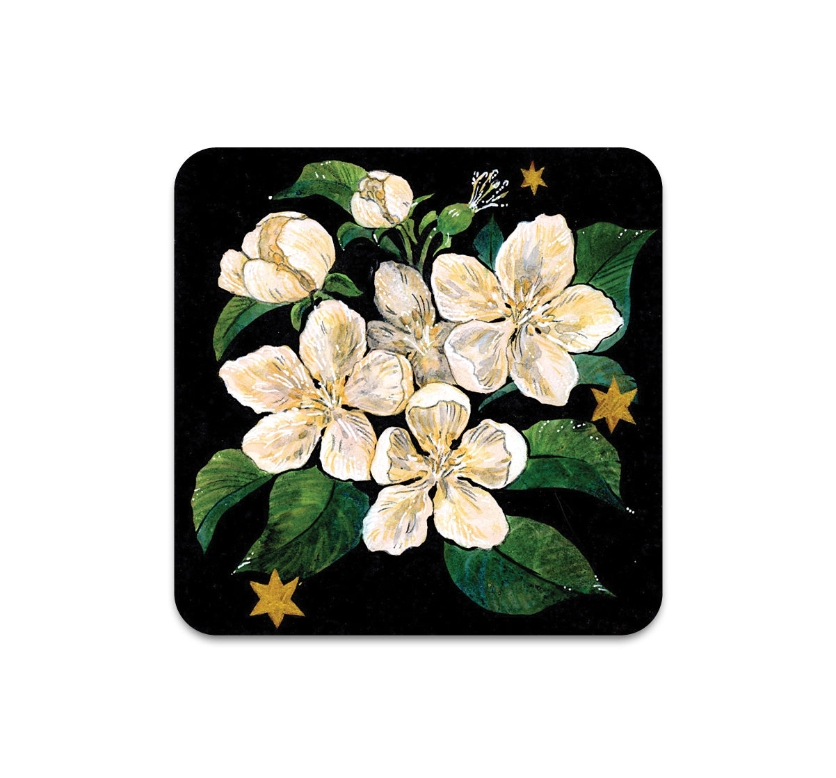 S10 HookieDuke - Coaster 1