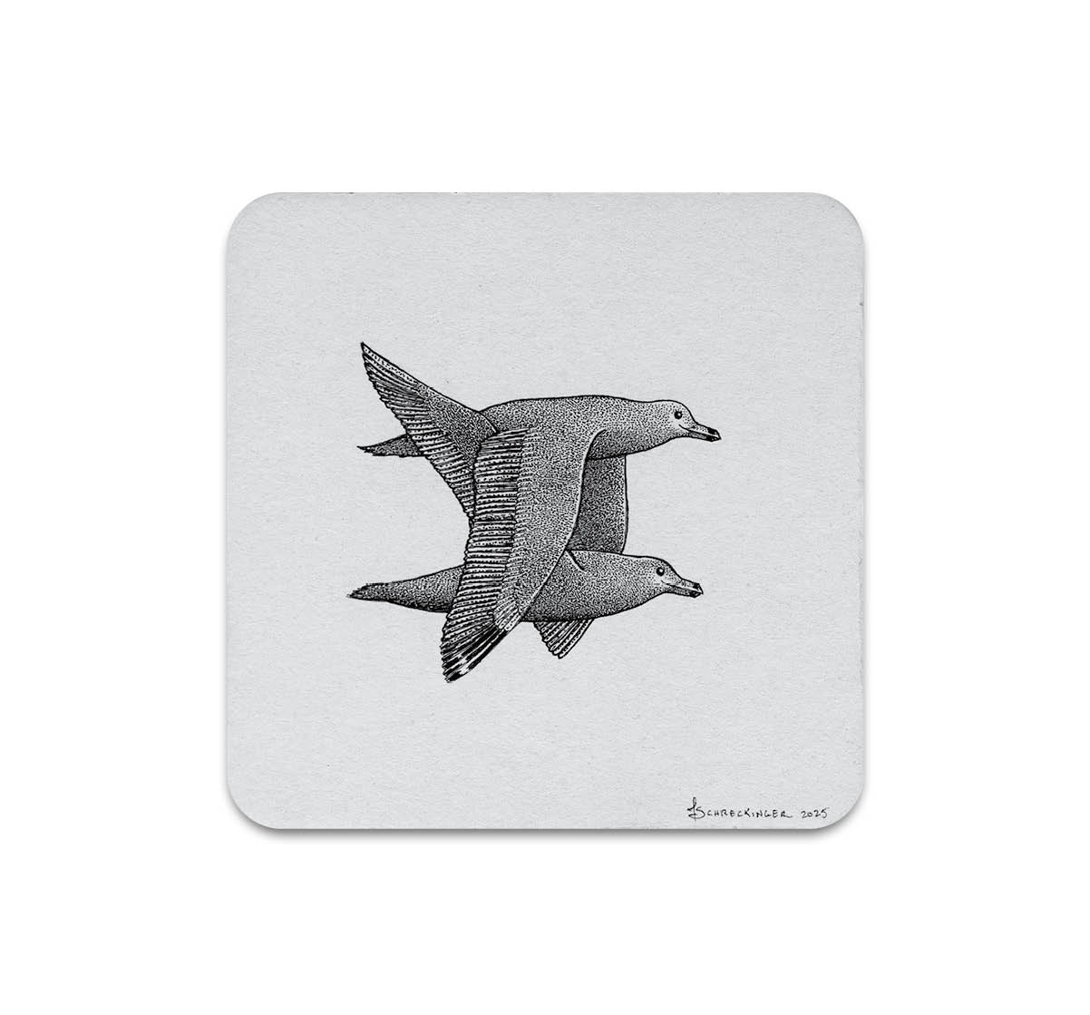 S10 Juliet Schreckinger - Coaster 2