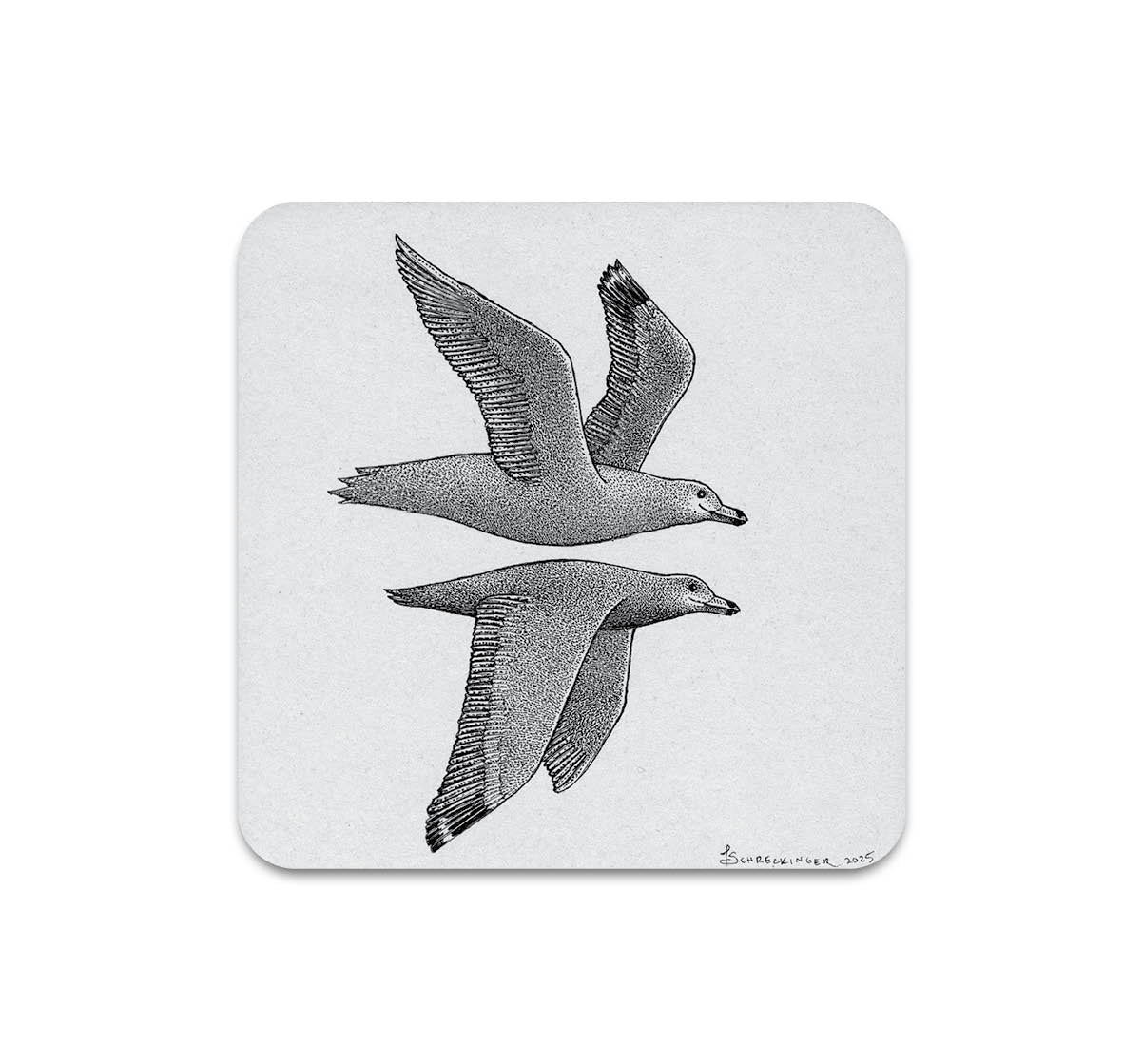 S10 Juliet Schreckinger - Coaster 3