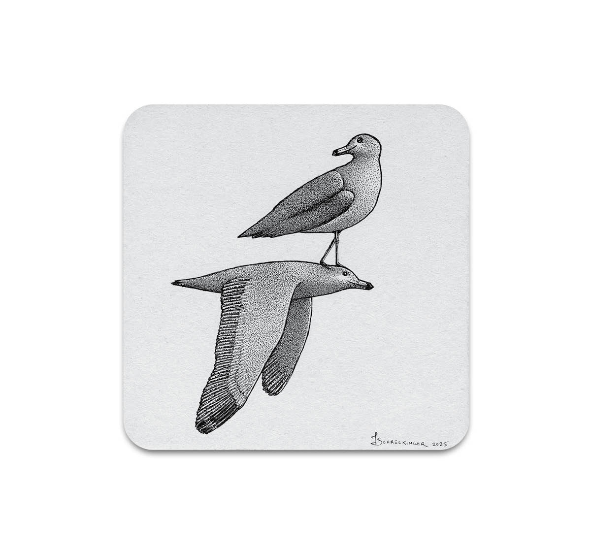 S10 Juliet Schreckinger - Coaster 7