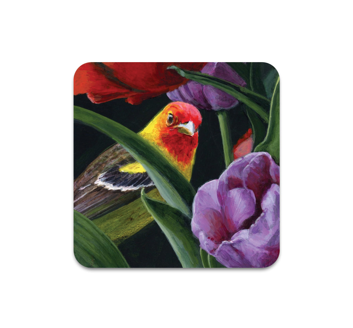 S10 Kaetlyn Able - Coaster 1