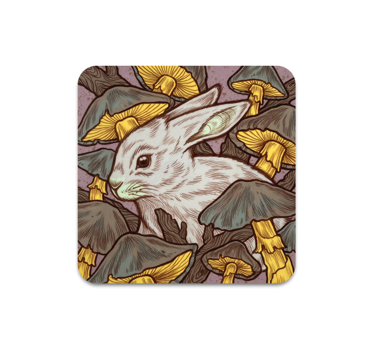 S10 Kate O'Hara - Coaster 1