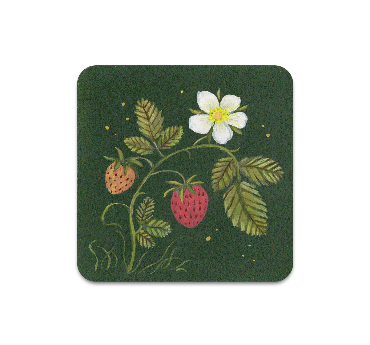 S10 Kelly Louise Judd - Coaster 5