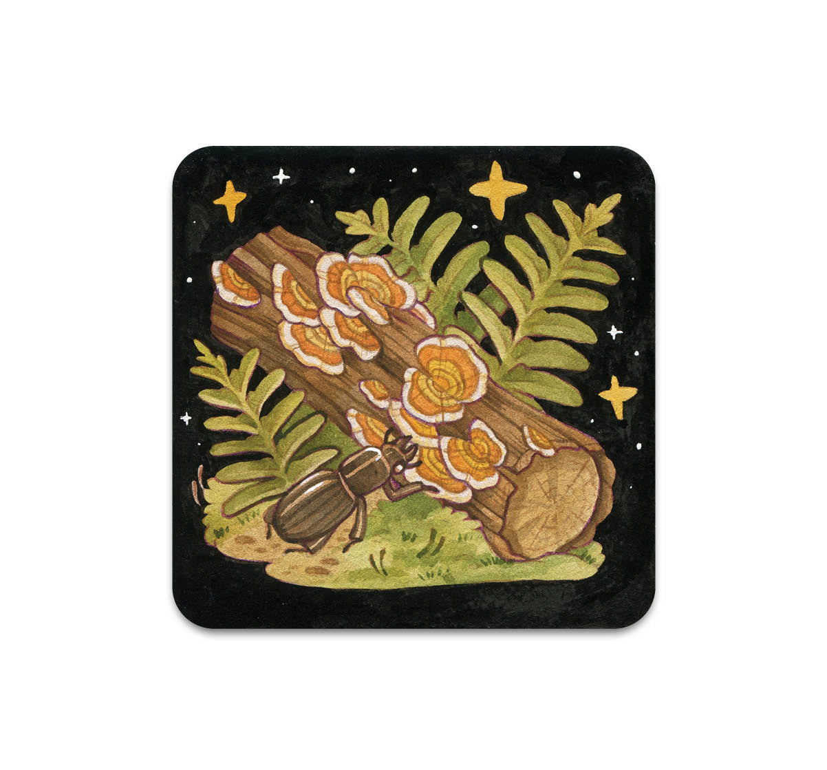 S10 Lianne Pflug - Coaster 4