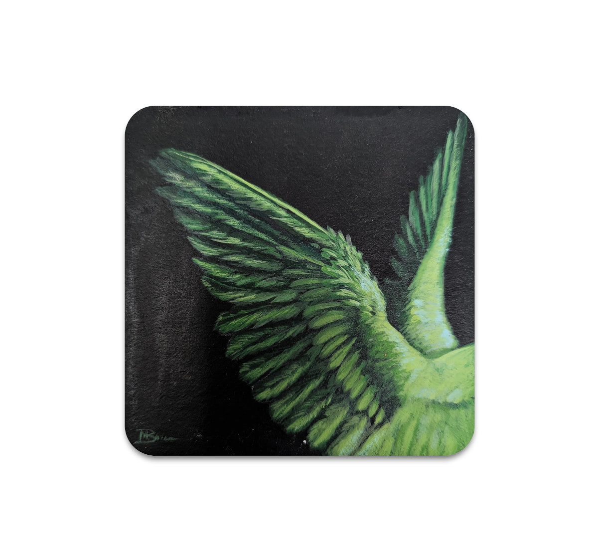 S10 Megan Buccere - Coaster 1