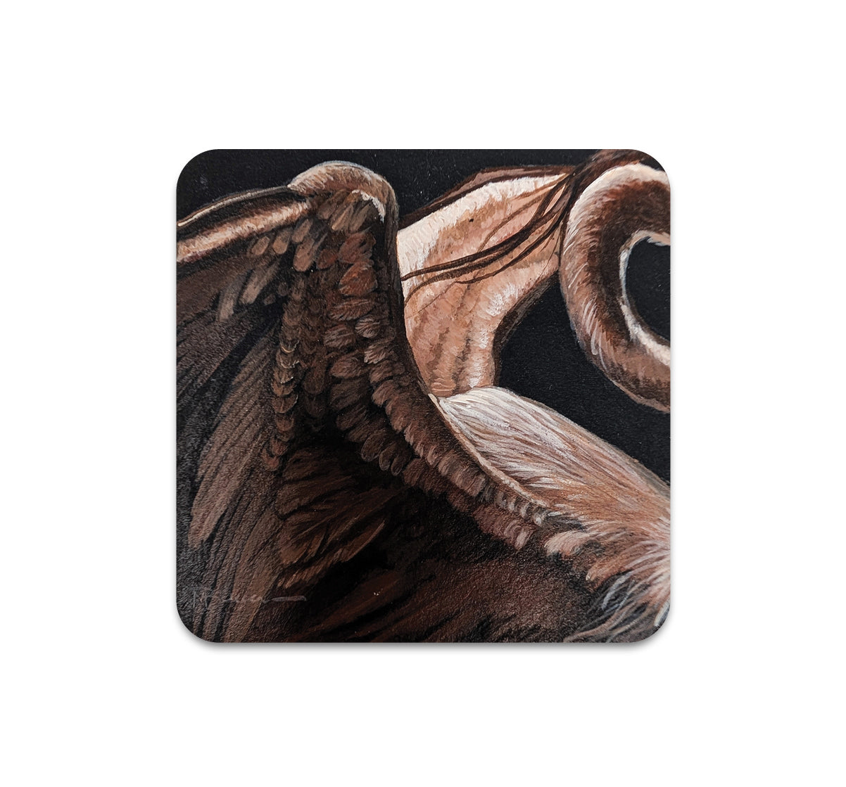 S10 Megan Buccere - Coaster 3