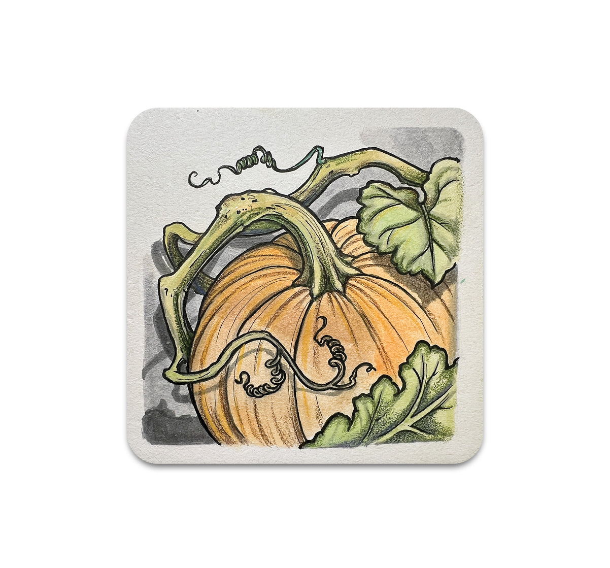 S10 Shawn Hebrank - Coaster 1